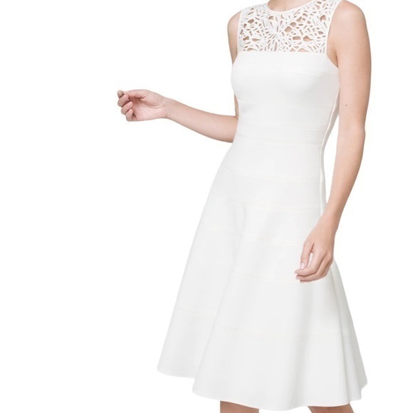 White House black market fit and flare ecru white lace bandage dress nwt $180